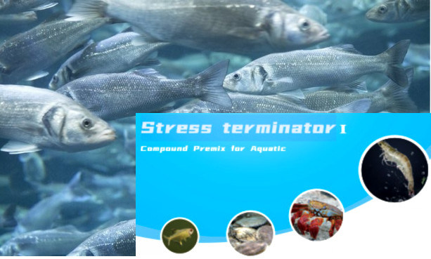 Aquatic Feed Additive Stress Terminator Anti Stress Water Soluble