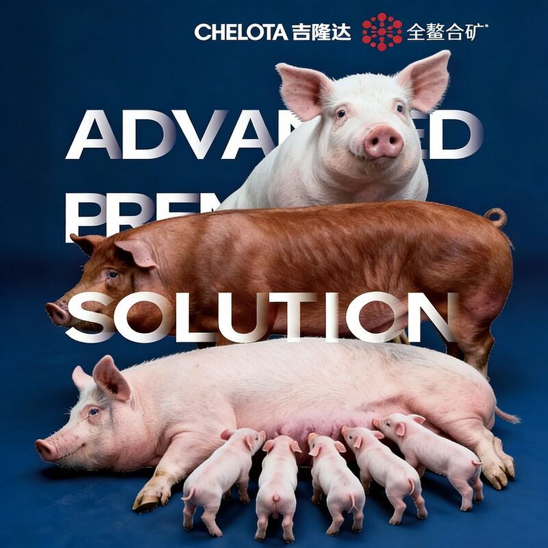 Chelatrix Pig