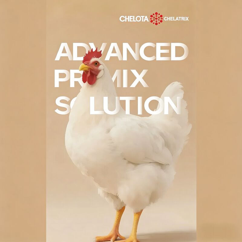 Chelatrix Broiler